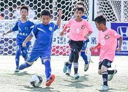 日本职棒球迷文化深度解析